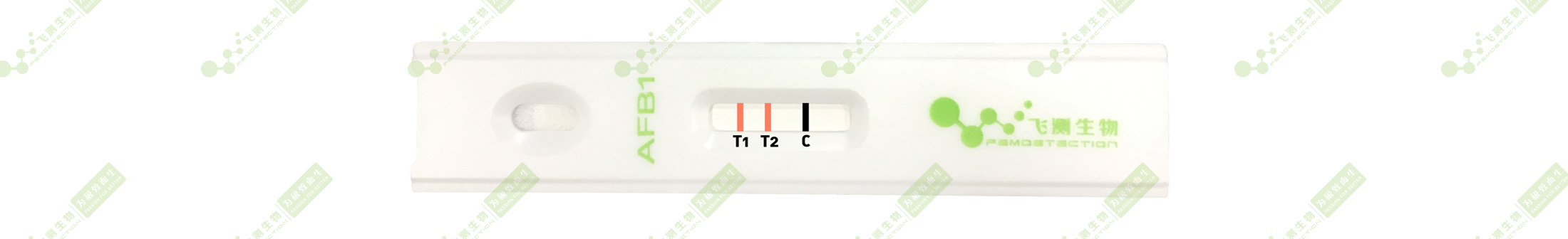 雙T線定量檢測技術