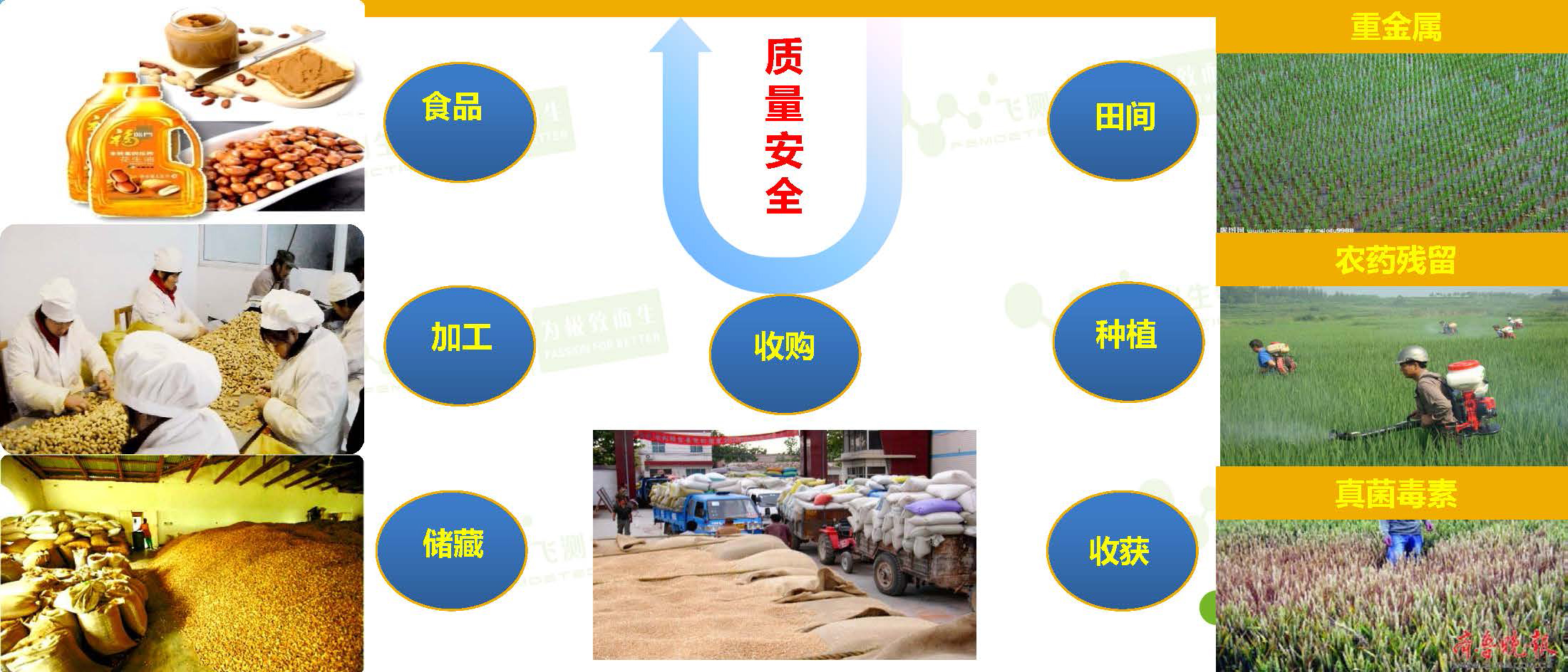  威脅著我國糧油質量安全的隱患