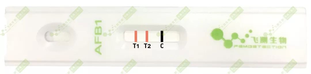 雙T線檢測定量法 雙T線檢測定量法
