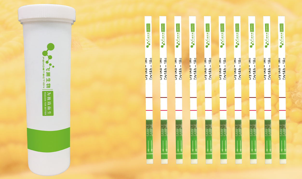 轉(zhuǎn)基因定性檢測(cè)試紙條