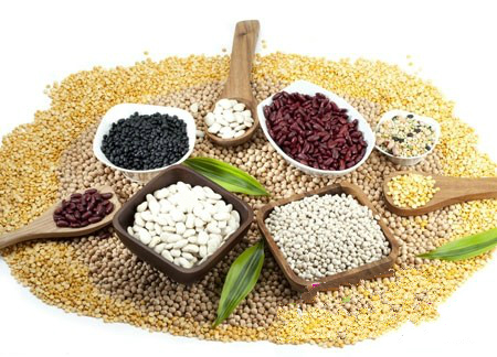 糧食真菌毒素 糧食真菌毒素