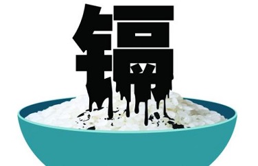 大米鎘超標 大米鎘超標
