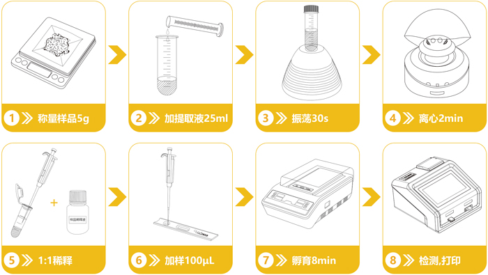 轉基因Bt Cry1Ab/Ac檢測卡操作流程 轉基因Bt Cry1Ab/Ac檢測卡操作流程