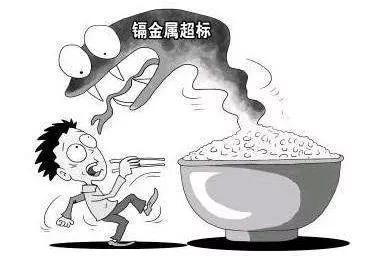 大米重金屬 大米重金屬