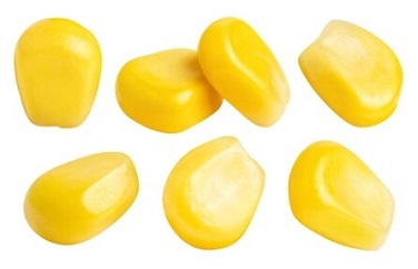 玉米嘔吐毒素 玉米嘔吐毒素