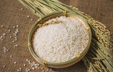 大米重金屬鎘 大米重金屬鎘