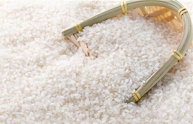 水稻重金屬 水稻重金屬