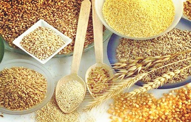 糧食真菌毒素 糧食真菌毒素