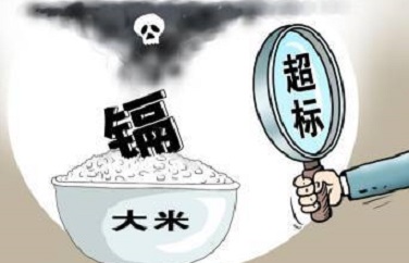 糧食重金屬檢測儀 糧食重金屬檢測儀