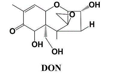 玉米嘔吐毒素 玉米嘔吐毒素