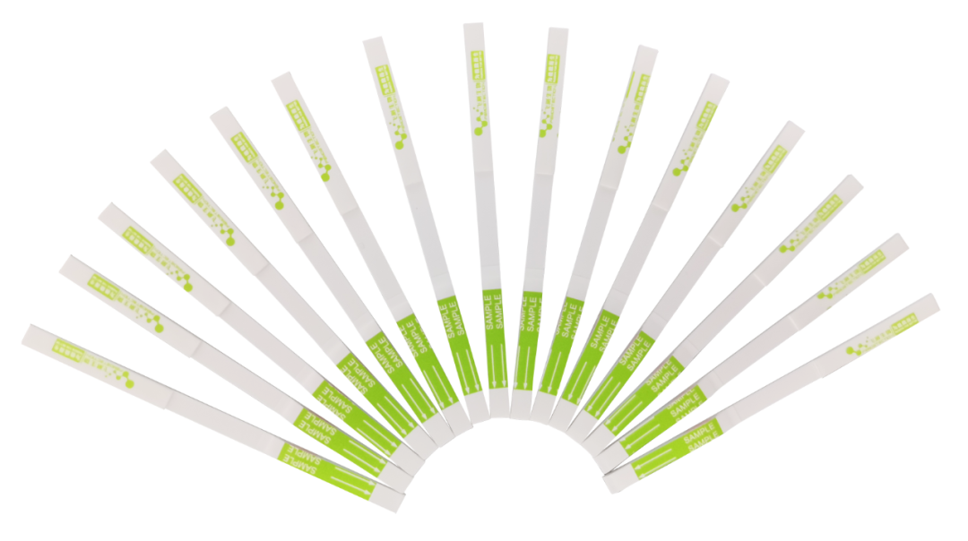 膠體金定性檢測試紙條